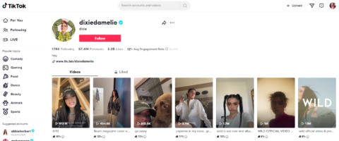 Dixie D'Amelio account on TikTok