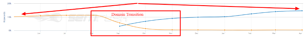 When the meta robots noindex tags were removed, the overall amount of ranking terms grew by 50%.